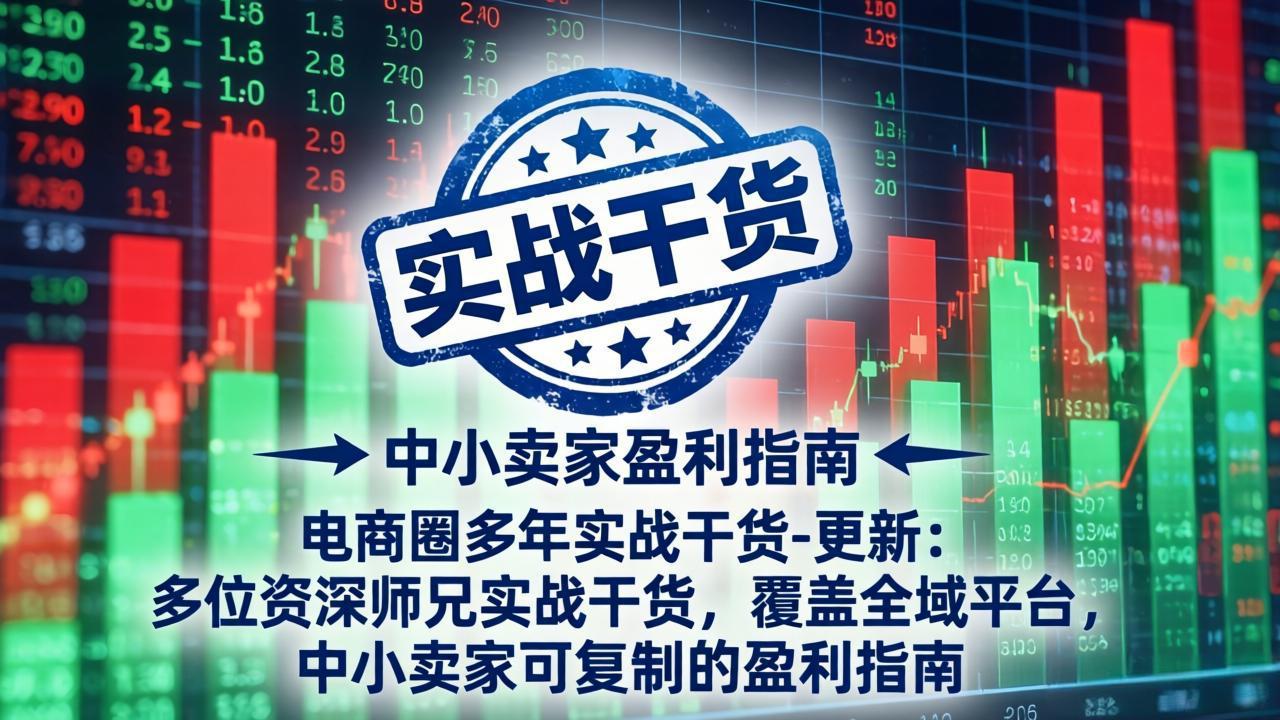 电商圈多年实战干货-更新5月10：多位资深师兄实战干货/覆盖全域平台，中小卖家可复制的盈利指南-轻创资源网