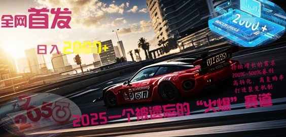 全网首发：2025一个被遗忘的“火爆”赛道轻松日入多张-轻创资源网