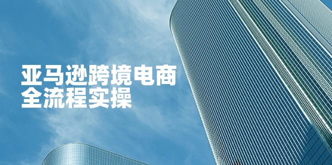 (14252期)亚马逊跨境电商全流程实操,教你从零开始,掌握店铺运营与广告技巧-轻创资源网