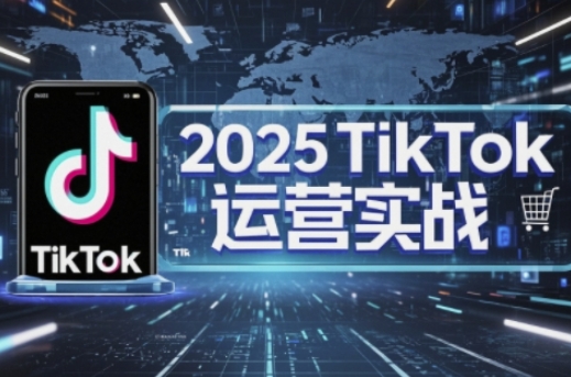 2025TikTok电商运营,掌握TikTok店铺运营核心技巧,实现低成本高转化-轻创资源网