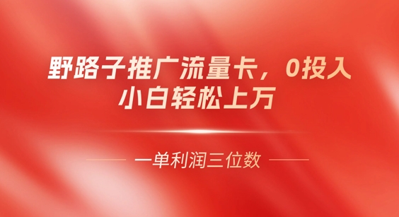 0门槛推广流量卡，一单收益上百，0投入，小白月入过W-轻创资源网