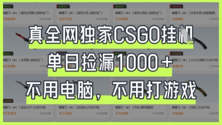 真全网独家CSGO挂G,单日捡漏1k+【揭秘】-轻创资源网