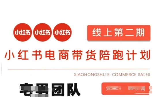 小红书电商带货课2期，月利润20个的小红书电商的有货源，无货源，虚拟产品，付费投流等整套玩法-轻创资源网