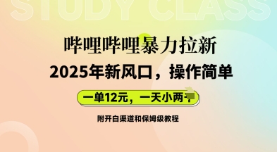 哔哩哔哩暴力拉新：2025年新风口，一单12元，一天数张(附开白渠道和保姆级教程)-轻创资源网